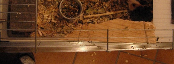 old stairs
