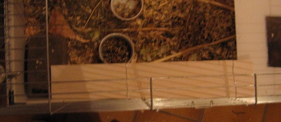 new stairs