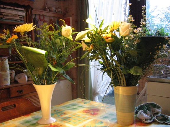 Flowers put in vases Flowers put in vases