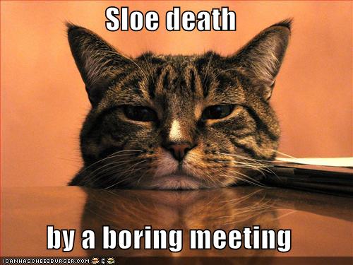 Sloe death.. by a boring meeting